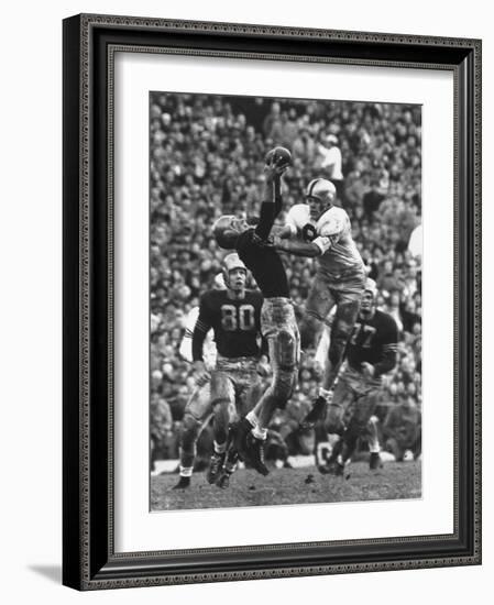 Violent Action: Don Helleder Trying to Retrieve Ball from Navy Defense During Army-Navy Game-John Dominis-Framed Photographic Print