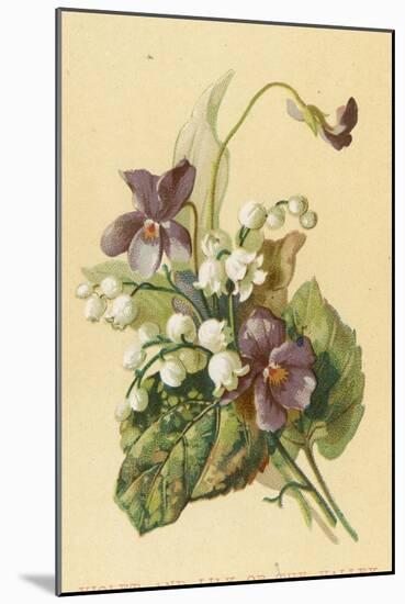 Violet and Lily of the Valley-English School-Mounted Giclee Print