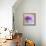 Violet Blooms-Sarah Gardner-Framed Stretched Canvas displayed on a wall