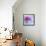 Violet Blooms-Sarah Gardner-Framed Stretched Canvas displayed on a wall