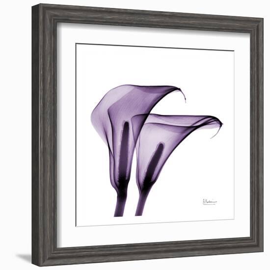 Violet Calla Twins II-Albert Koetsier-Framed Art Print