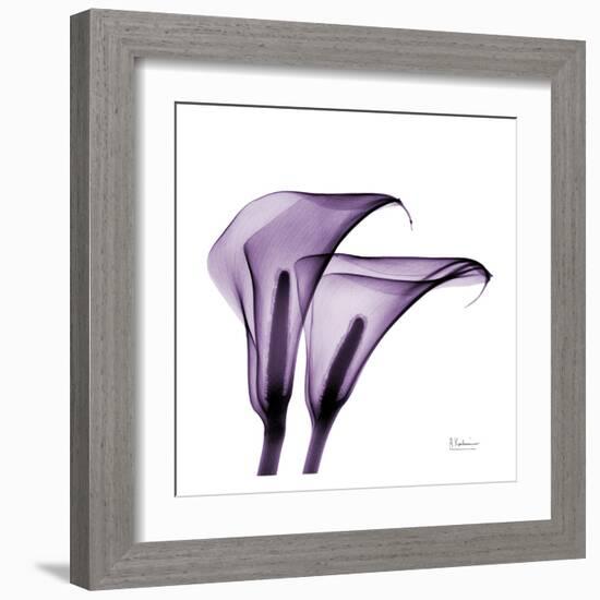 Violet Calla Twins II-Albert Koetsier-Framed Art Print