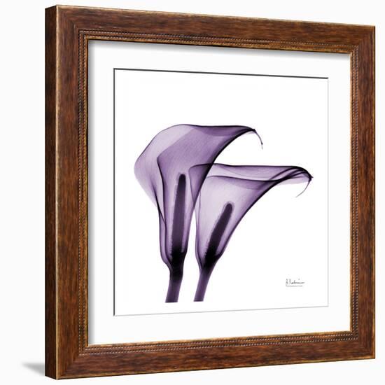 Violet Calla Twins II-Albert Koetsier-Framed Art Print