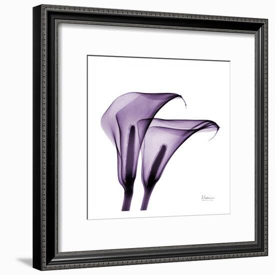 Violet Calla Twins II-Albert Koetsier-Framed Art Print