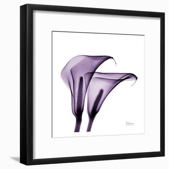 Violet Calla Twins II-Albert Koetsier-Framed Art Print