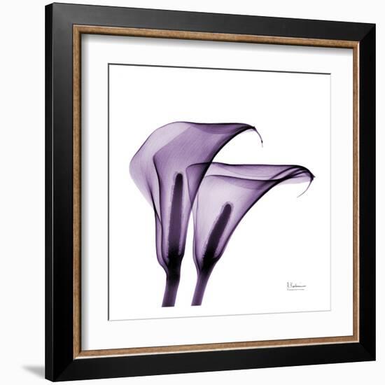 Violet Calla Twins II-Albert Koetsier-Framed Art Print