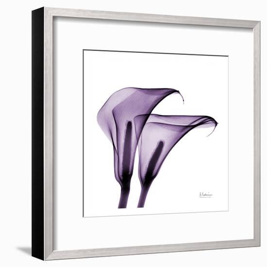 Violet Calla Twins II-Albert Koetsier-Framed Art Print