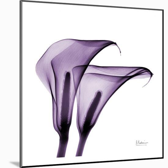 Violet Calla Twins II-Albert Koetsier-Mounted Art Print