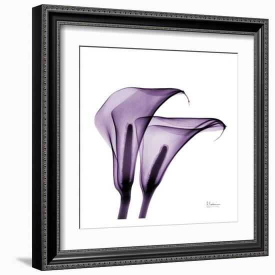 Violet Calla Twins II-Albert Koetsier-Framed Art Print