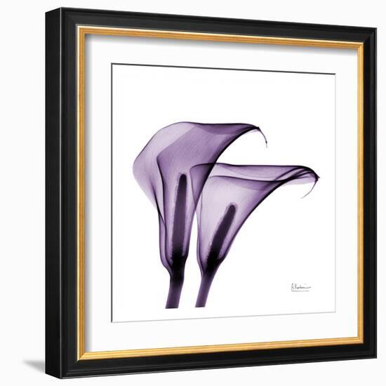 Violet Calla Twins II-Albert Koetsier-Framed Art Print