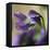 Violet Closeup-Anna Miller-Framed Premier Image Canvas