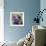 Violet Closeup-Anna Miller-Framed Photographic Print displayed on a wall