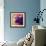 Violet Cow-Marion Rose-Framed Giclee Print displayed on a wall