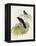 Violet Cuckoo (Chrysococcyx Xanthorhynchus)-John Gould-Framed Premier Image Canvas