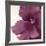 Violet Flower I-Yvonne Poelstra-Holzhaus-Framed Art Print