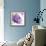 Violet Flower I-Sandra Jacobs-Framed Giclee Print displayed on a wall