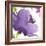 Violet Flower I-Sandra Jacobs-Framed Giclee Print