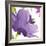 Violet Flower I-Sandra Jacobs-Framed Giclee Print