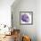 Violet Flower I-Sandra Jacobs-Framed Giclee Print displayed on a wall