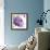 Violet Flower I-Sandra Jacobs-Framed Giclee Print displayed on a wall