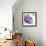 Violet Flower I-Sandra Jacobs-Framed Giclee Print displayed on a wall