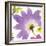 Violet Flower II-Sandra Jacobs-Framed Giclee Print