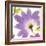 Violet Flower II-Sandra Jacobs-Framed Giclee Print