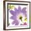 Violet Flower II-Sandra Jacobs-Framed Giclee Print