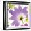 Violet Flower II-Sandra Jacobs-Framed Giclee Print