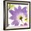 Violet Flower II-Sandra Jacobs-Framed Giclee Print