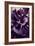 Violet flower-Lea Faucher-Framed Art Print