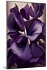 Violet flower-Lea Faucher-Mounted Art Print