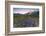 Violet flowers and green meadows frame the Mont Blanc massif at dawn, Graian Alps, Courmayeur, Aost-Roberto Moiola-Framed Photographic Print