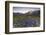 Violet flowers and green meadows frame the Mont Blanc massif at dawn, Graian Alps, Courmayeur, Aost-Roberto Moiola-Framed Photographic Print