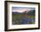 Violet flowers and green meadows frame the Mont Blanc massif at dawn, Graian Alps, Courmayeur, Aost-Roberto Moiola-Framed Photographic Print