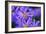 Violet Flowers-Martina Bleichner-Framed Art Print