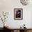 Violet flowers-Vivienne Dupont-Framed Art Print displayed on a wall
