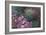 Violet Garden-li bo-Framed Art Print