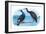 Violet Green Cormorant and Florida Cormorant-Theodore Jasper-Framed Art Print