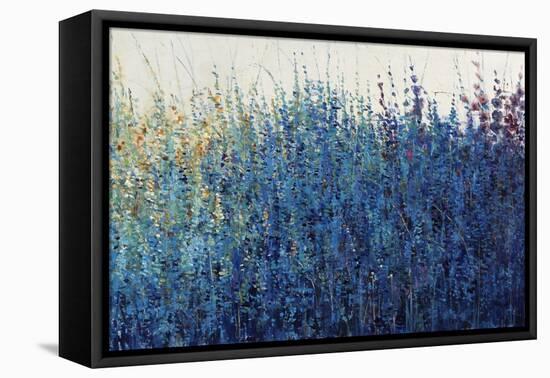 Violet Morning-Tim O'toole-Framed Premier Image Canvas