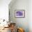 Violet Orchid Morpheus-Alixandra Mullins-Framed Art Print displayed on a wall