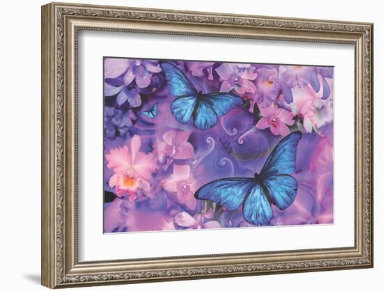 Violet Orchid Morpheus-Alixandra Mullins-Framed Art Print