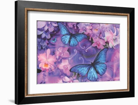 Violet Orchid Morpheus-Alixandra Mullins-Framed Art Print