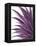 Violet Palms 1-Emma Jones-Framed Premier Image Canvas