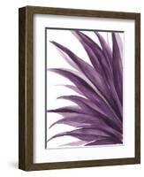 Violet Palms 1-Emma Jones-Framed Giclee Print