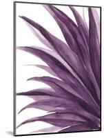 Violet Palms 1-Emma Jones-Mounted Giclee Print