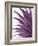 Violet Palms 1-Emma Jones-Framed Giclee Print