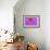 Violet-Pink Dahlia Flower-Cora Niele-Framed Giclee Print displayed on a wall