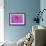 Violet-Pink Dahlia Flower-Cora Niele-Framed Giclee Print displayed on a wall