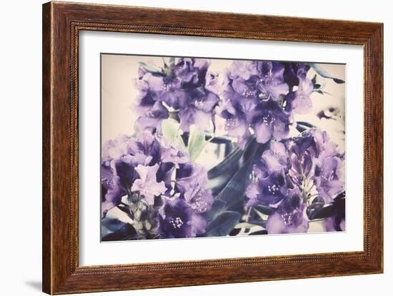 Violet Remembers-Mindy Sommers-Framed Giclee Print